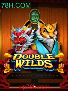 Explorando o Universo Emocionante de DoubleWilds